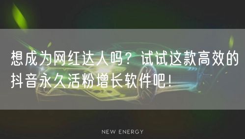 想成为网红达人吗？试试这款高效的抖音永久活粉增长软件吧！